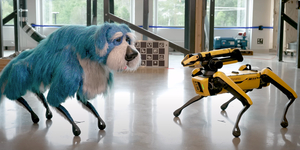Bundát kapott a Boston Dynamics robotkutyája, így még ebszerűbb – videó
