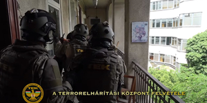 Kényszergyógykezelésre küldték a TEK-esekre légpisztollyal lövöldöző, majd a rátörő rendőröket feljelentő férfit
