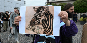 Állatorvosi zebra: így teszi Orbán a politika játékszerévé a tudományos műhelyeket