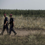 Rekordszámú illegális bevándorlót talált a rendőrség múlt héten