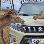 Mennyit fogyaszt az új hibrid Suzuki Vitara? Kipróbáltuk