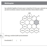 Ilyen feladatot kaptak a ma kompetenciatesztet írók