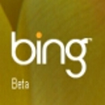 Beperelték a Microsoftot a Bing név miatt