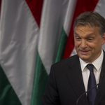 "Egy koca, egy porta" - Orbán ötletelt?