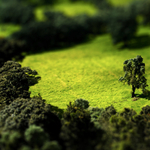 Mai háttérkép: Tilt Shift Meadow - óriásból törpe