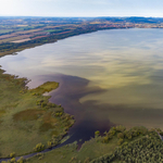 Algásodást jeleztek a Balatonnál