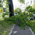 Fotó: A Vasúttörténeti Park közelében zúzott össze egy autót egy leszakadó faág