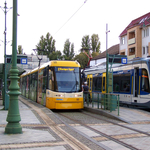 Sárgítják a szegedi tramtraineket, mert nem veszik észre az autósok