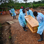 Ebola végzett egy teljes üzletággal