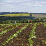 Átalakul az Agrárminisztérium, de Lázár nem viszi el a vidékfejlesztést