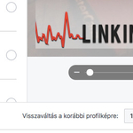 Gyertyagyújtás helyett sokan Linkin Park-nyomású profilképes kerettel emlékeznek a Facebookon