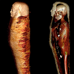 CT-vel átvilágítottak egy 2300 éves múmiát egyiptomi kutatók, rengeteg dolgot találtak a szarkofágban
