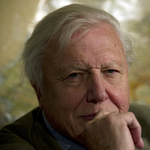 Attenborough: vége az emberi evolúciónak