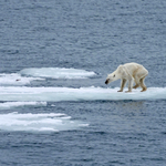 IPCC: Vészesen közeledünk a 3°C-os felmelegedés felé, de még időben vagyunk, hogy változtassunk