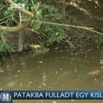 Patakba fulladt egy 3 éves kislány Bakonykútiban