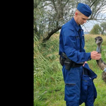 Emut találtak a rendőrök Gárdonyban