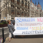 Rabruhás tüntetők mennek a Parlament elé