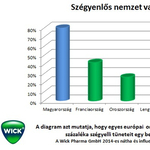 Nemzetközi felmérés: A magyarok pokolian megszenvednek egy könnyű kis náthát is