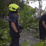 Mennydörgés után láncfűrész: így dolgoznak a katasztrófavédők a vihar után