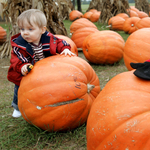 Rémálom Halloweenkor: tökkel jön a gyerek 