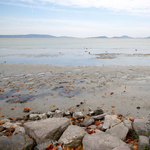 Gyógyszermaradványokat és mikroműanyagot találtak a Balaton vizében