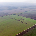 Orbán Viktor levelet kapott Kishantos-ügyben a Greenpeace-től