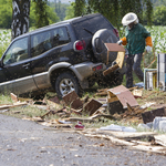 Ilyen, amikor traumatizált méhek blokkolják a 74-es főutat – fotók