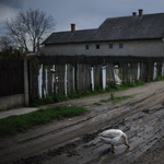 Fizetős a szegény gyerekeknek épült játszótér