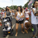 Galéria: kutyakarnevál Rio de Janeiróban 