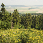 A hegyimentőknek kellett kiszabadítaniuk két eltévedt magyar nőt egy szlovák nemzeti parkból