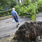 Leszakadt vezetékek, kidőlt fák, megrongálódott kocsik - fotók a vihar okozta károkról