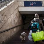 „Csak a kutya miatt adnak" – 19 évesen hajléktalanként élni