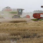 A biztosítókat is érdekli a tűzbiztos agrár startup