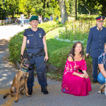  Kutyajogsit is kérhetnek a hatóságok a gazdiktól Bécsben