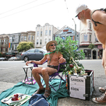 Senki sem tehetné közszemlére nemi szerveit San Franciscóban