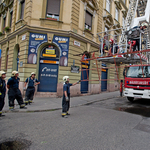 Fák dőltek ki az éjjeli viharban Budapesten