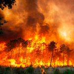 IPCC: Egyre kevesebb idő van arra, hogy fellépjünk a klímaváltozás ellen