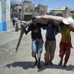 A nap képe: pörölycápa Mogadishu utcáin