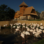 A fővárosi állatkert és vidámpark