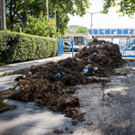 Prüszkölnek a magyar tejtermelők az importtej miatt