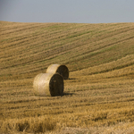 Szétlopják a mezőgazdaságra szánt pénzeket?