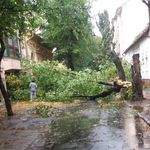 Megjött a vihar: fákat tépett ki a szél Nógrád megyében