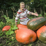 Képek: Gigantikus tökszörnyeket termett a föld Fülöpszálláson