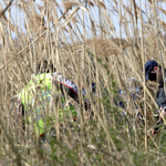 "Nem volt arról szó, hogy Jani az őrt megöli"