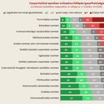 Felmérés: A Jobbik-szavazók tartják leginkább igazolhatónak az erőszakot