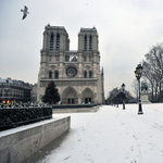 Lecserélik a Notre-Dame harangjait