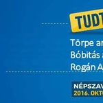 Juhász Péter: A vasárnapi mozgósítás a Fidesz legnagyobb hadgyakorlata