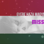 "Gyere haza, magyar!" - megszületett a hazaváró himnusz