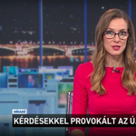 „Kérdésekkel provokált” – állítja egy osztrák újságíróról a köztévé