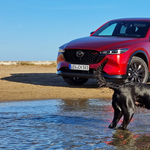 Bőven van élet a villanyautókon túl: 6 hengerrel és új szuper dízelmotorral támad a Mazda